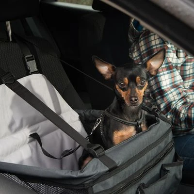Asiento Para El Coche Booster - Imagen 7