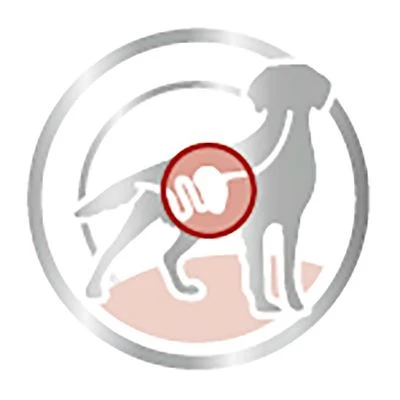 Royal Canin Medium Adult En Salsa Para Perros - Imagen 4