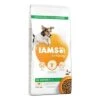 IAMS For Vitality Adult Small Medium Con Pollo Fresco