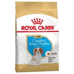 Royal Canin Cavalier King Charles Puppy / Junior
