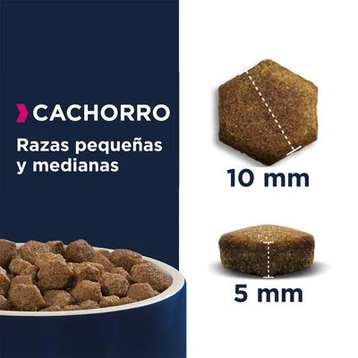 Eukanuba Grain Free Puppy Razas Pequeñas Y Medianas Con Salmón - Imagen 5