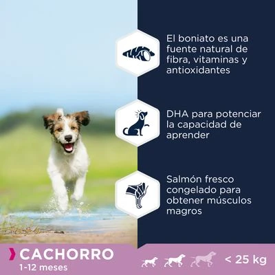 Eukanuba Grain Free Puppy Razas Pequeñas Y Medianas Con Salmón - Imagen 4