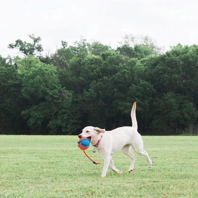 Chuckit! Rope Fetch Pelota Con Cuerda Para Perros - Imagen 4