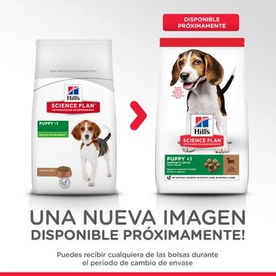 Hill's Science Plan Hill's Puppy <1 Medium Science Plan Con Cordero Y Arroz - Imagen 2