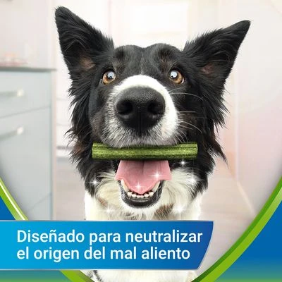 PURINA Dentalife Active Fresh Snacks Dentales Para Perros Pequeños - Imagen 2