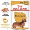 Royal Canin Breed Teckel Mousse