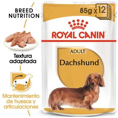 Royal Canin Breed Teckel Mousse