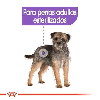 Royal Canin Mini Adult Sterilised - Imagen 3