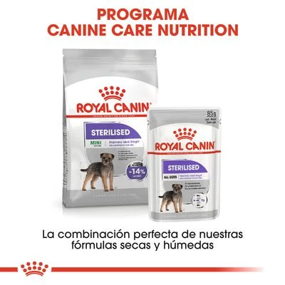 Royal Canin Mini Adult Sterilised - Imagen 7