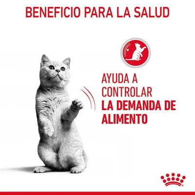 Royal Canin Appetite Control Care En Gelatina - Imagen 3