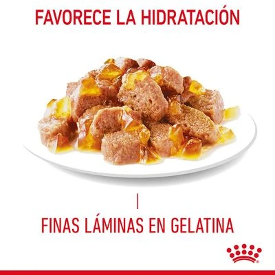 Royal Canin Appetite Control Care En Gelatina - Imagen 4