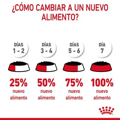 Royal Canin Digest Care En Salsa - Imagen 9