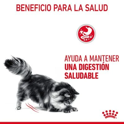 Royal Canin Digest Care En Salsa - Imagen 3