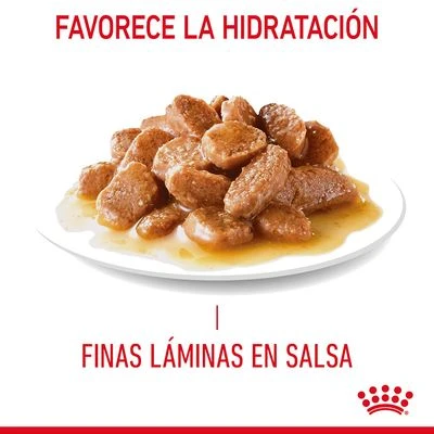 Royal Canin Digest Care En Salsa - Imagen 4