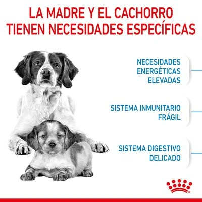 Royal Canin Medium Starter - Imagen 3