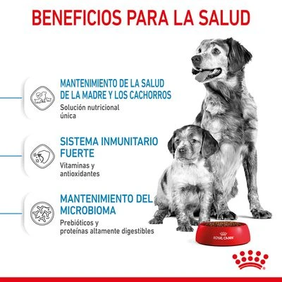 Royal Canin Medium Starter - Imagen 4