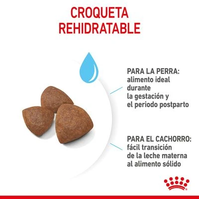 Royal Canin Medium Starter - Imagen 6