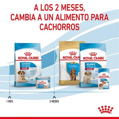Royal Canin Medium Starter - Imagen 10