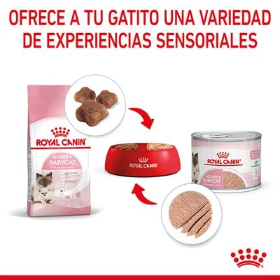 Royal Canin Mother & Babycat Ultra Soft Mousse - Imagen 7
