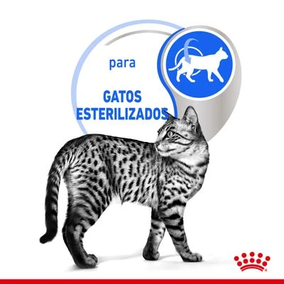 Royal Canin Indoor Sterilised En Gelatina - Imagen 5