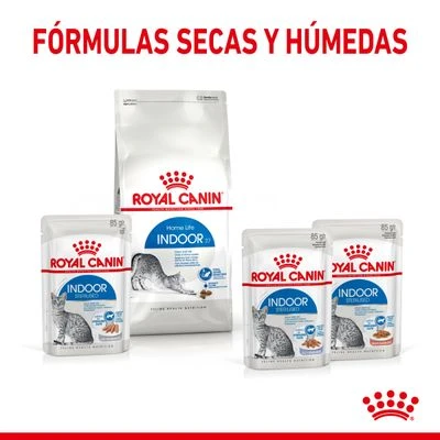 Royal Canin Indoor Sterilised En Gelatina - Imagen 6