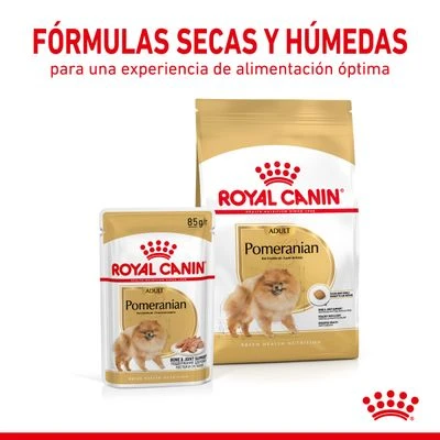 Royal Canin Breed Pomerania Mousse - Imagen 5