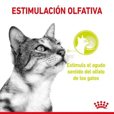 Royal Canin Sensory Smell En Salsa - Imagen 3