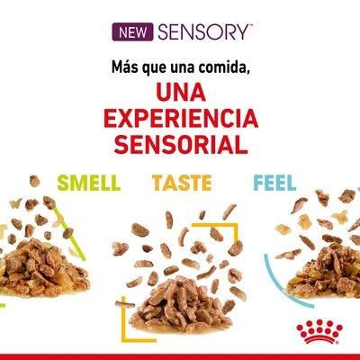 Royal Canin Sensory Smell En Salsa - Imagen 4