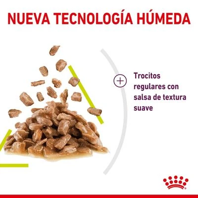 Royal Canin Sensory Smell En Salsa - Imagen 5