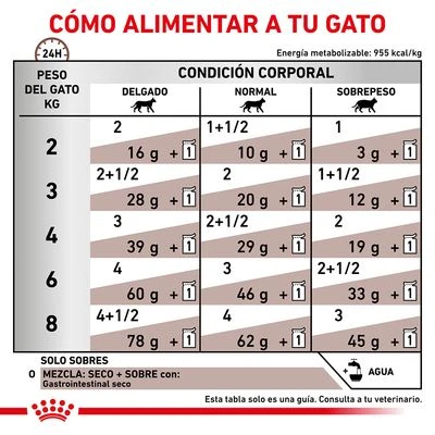 Royal Canin Veterinary Feline Gastro Intestinal Húmeda Para Gatos - Imagen 5