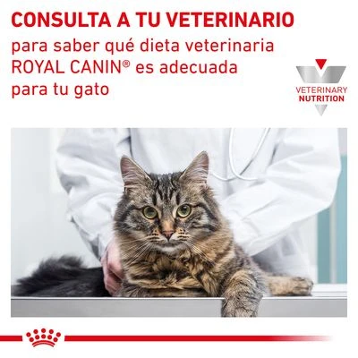 Royal Canin Veterinary Feline Gastro Intestinal Húmeda Para Gatos - Imagen 8