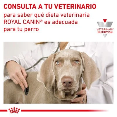 Royal Canin Veterinary Canine Renal Mousse - Imagen 6