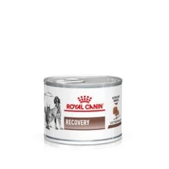 Royal Canin Veterinary Canine Recovery Mousse Perros Y Gatos