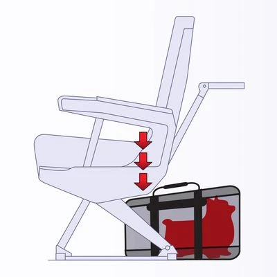 Transportin Homologado Para Cabina De Avión Sherpa® Original Deluxe - Imagen 4